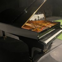 Usato, Steinway & Sons, D-274