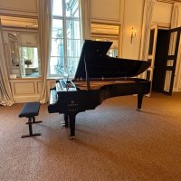 Yamaha cfx store 2017 price