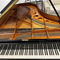 Used, Bosendorfer, 200