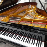 Used, Seiler, 206 Professional