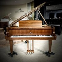 Neu, Sauter, Alpha 160