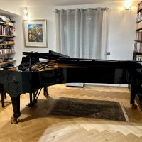 Usato, Steinway & Sons, D-274