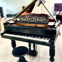 Occasion, Steinway & Sons, B-211