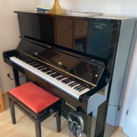 Gebraucht, Kawai, BL-61