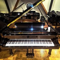 Occasion, Fazioli, F183