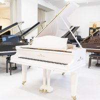  ​C. Bechstein - Modell A-182 - vollständig restauriert