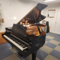 Gebraucht, Yamaha, C7