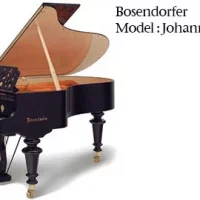 New, Bosendorfer, Strauss