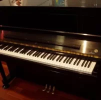 Occasion, Steinway & Sons, Z-118