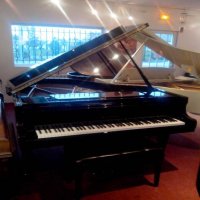 Used, Steinway & Sons, C-227