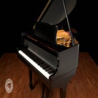 Occasion, Steinway & Sons, S-155