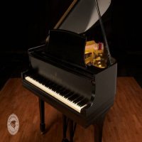 Occasion, Steinway & Sons, L-179