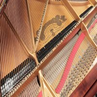 Usado, Steinway & Sons, B-211
