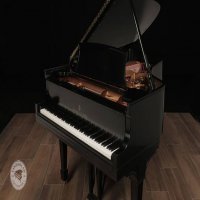 Usado, Steinway & Sons, B-211