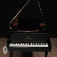 Usado, Steinway & Sons, B-211