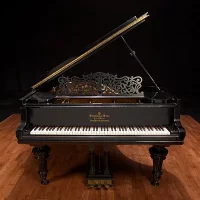 Occasion, Steinway & Sons, C-227