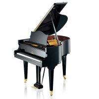 New, C. Bechstein, L 167