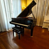 Nowy, Yamaha, CF6