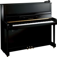 Nowy, Yamaha, b3 SG2