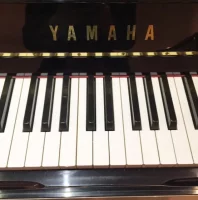 Yamaha, U1X