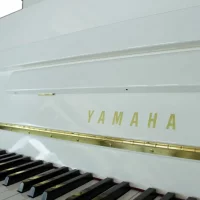 New, Yamaha, b1