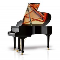 Nuevo, Schimmel, W 206 Tradition