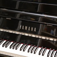 Nowy, Yamaha, b1