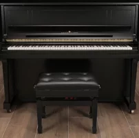 Neufs, Steinway & Sons, 1098