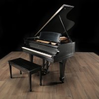 Usado, Steinway & Sons, B-211