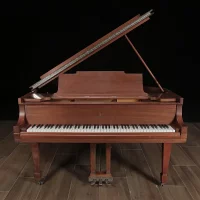 Nuovo, Steinway & Sons, M-170