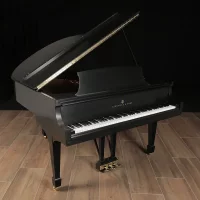 Używany, Steinway & Sons, M-170