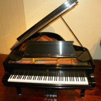 Usado, Steinway & Sons, O-180