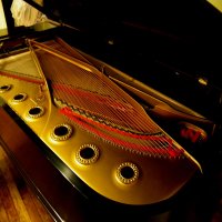 Usato, Steinway & Sons, D-274