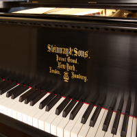 Gebruikte, Steinway & Sons, A-188