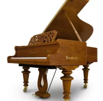 Nowy, Bosendorfer, Strauss