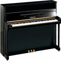 New, Yamaha, b2