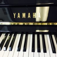 Yamaha, U1