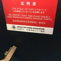 Yamaha, U1