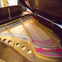 Usado, Steinway & Sons, M-170