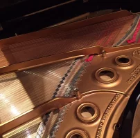 Occasion, Steinway & Sons, L-179