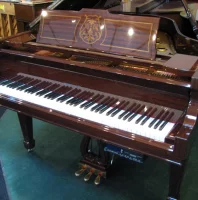 Used, Pianodisc, PD590