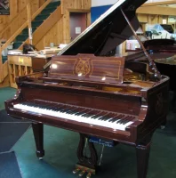 Occasion, Pianodisc, PD590