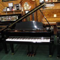 Occasion, Wurlitzer, G-411