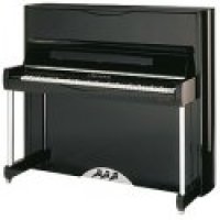 Neu, C. Bechstein, A 124 (B 124) Style