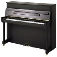 Nuevo, C. Bechstein, Classic 118