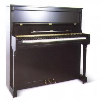 Nieuw, Bohemia, 125A Professional