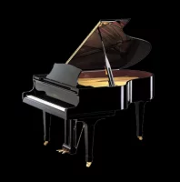 Nieuw, Kawai, GX-3