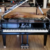 Nieuw, Shigeru Kawai, SK-3