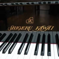 New, Shigeru Kawai, SK-6