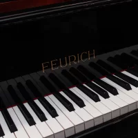New, Feurich, 178 Professional II